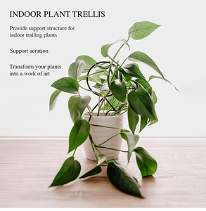 <span class=keywords><strong>Support</strong></span> Métal Porte-Plantes Escalade Intérieur petit mini treillis pour plantes <span class=keywords><strong>en</strong></span> <span class=keywords><strong>pot</strong></span> pour Vigne Lierre <span class=keywords><strong>plante</strong></span> obélisque treillis de jardin - Product Image 5