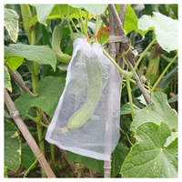 Respirant jardin plante protecteur maille couverture filet fleur fruits grandir sac de Protection pour raisin tomate pomme-coupe personnalisée