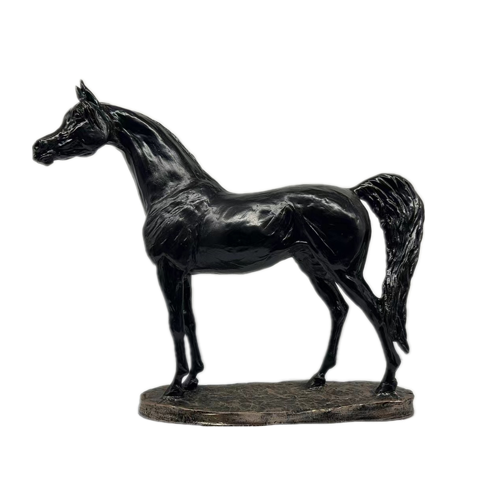 Anais France, tous vos Trophées, Plaques, Flots, Equipement cavalier