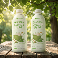 Boisson au matcha et à la noix de coco Nihewan, vente en gros, OEM, ODM, boisson au lait de coco, directement de l'usine