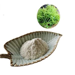 Alta pureza 98% Dihydromyricetin(<span class=keywords><strong>DHM</strong></span>) <span class=keywords><strong>DHM</strong></span> Dihydromyricetin <span class=keywords><strong>Powder</strong></span> Vine Chá Extrato Dihydromyricetin em Massa - Product Image 1