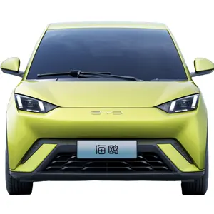2024 nuovissima auto BYD EV popolare cinese nuovo veicolo di energia asta Seagull BYD auto elettrica nuovi veicoli di energia nuova auto energi