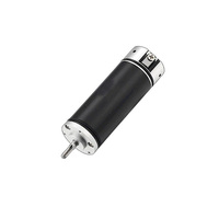 1654 Bldc Coreless Motor 24v 30000 Rpm 16mm Electric Dc Micro Brushless Motor pour polisseuse à ongles