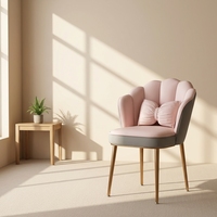 Fauteuil de maquillage individuel moderne pour salon, ensemble de chaises de salon rose en velours, fauteuils de luxe pour le salon