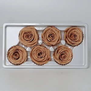 Fournisseurs en gros, prix d'usine, pomme de <span class=keywords><strong>rose</strong></span> d'<span class=keywords><strong>equateur</strong></span> préservée - Product Image 6