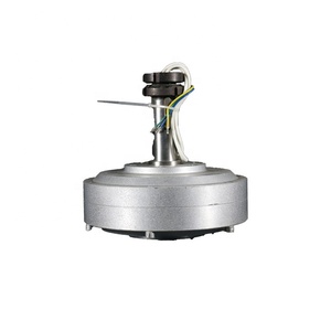 Tua Bin Gió thẳng đứng sử dụng 3000W 260rpm 120V 220V 380V rpm thấp mô-men xoắn Thấp Nam châm vĩnh cửu phát điện coreless maglev Máy phát điện - Product Image 6