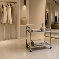 Chariot utilitaire double niveau de qualité commerciale, chariot de stockage alimentaire en acier inoxydable 201, capacité de 50 kg/étagère, 4 roulettes pivotantes avec freins
