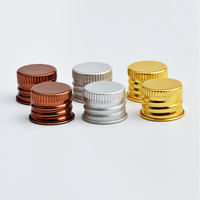 Flacon compact en PET de 25 ml avec bouchon en aluminium et bouchon intérieur en option pour sérum, shampoing et huile essentielle