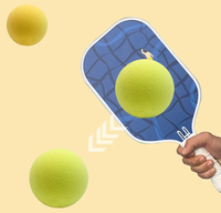 Balle de pickleball silencieuse 74MM, balle élastique amusante, balle de sport d'intérieur en mousse PU rebondissante, balle de pénalité Wave, logo personnalisable