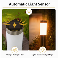Lampes solaires d'extérieur LED étanches IP65 en acier inoxydable, lampadaires décoratifs, lampes solaires de jardin, éclairage de chemin