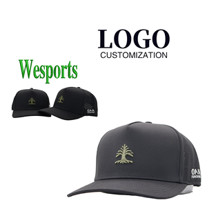Casquettes <span class=keywords><strong>WES</strong></span> Oem 5 panneaux, style A-frame, luxe, pour hommes, imperméables, en polyester, casquette de golf, performance, large bord, en daim, casquette de baseball, Barbas Hats - Product Image 1