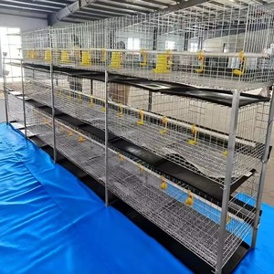 Gabbia di rete per pollame animale con tubo zincato di alta qualità - Product Image 4