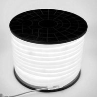 Tira de Luz LED de Neón Flexible de Plástico Redonda de 14 mm de Diámetro, 220 V, de Alta Luminosidad para Exteriores, IP65, Impermeable, para Decoración de Paisajes de Edificios