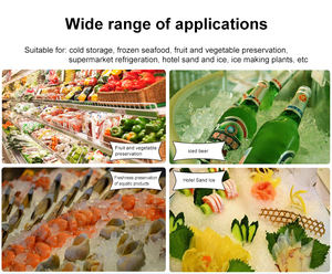 Machine à glace pilée industrielle automatique, grande ouverture d'alimentation, briseur de glace domestique, pour la production de glaçons en cubes - Product Image 5