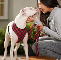Laisse d'entraînement pour chien à motif écossais imprimé sur mesure, conception par sublimation intégrale, boucle carrée dorée, accessoire quotidien pour animaux de compagnie en extérieur