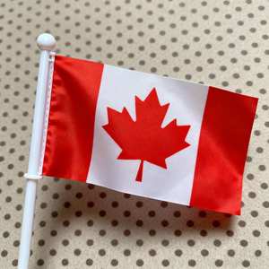 Banderas y Bastones de Plástico Impresos Digitalmente al por Mayor y Hechos a Medida con Mangos de Diversos Países - Product Image 1