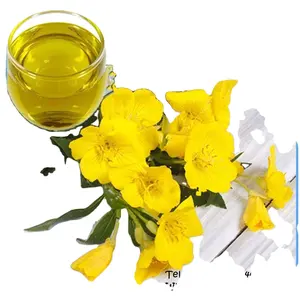 GMP carrier oil Evening Primrose Oil 10%