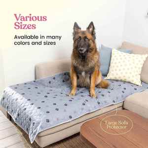 Almohadillas de Entrenamiento Higiénicas Extra Grandes para Perros Machos, Resistentes, 22x22, para Inodoro Canino - Product Image 5