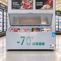 Congélateur commercial à porte simple ultra-basse température -70°C ℃   Congélateur vertical à refroidissement direct en acier inoxydable 201 avec commande numérique