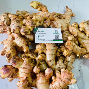Nouvelles marchandises Jeune récolte de gingembre 2024 Vietnam/ Jiang/ Imbir-Fournisseur 5kg 10kg 20kg Carton Jeune gingembre (WA: + 84362512699) - Product Image 4