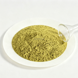 Poudre de spores d'Aspergillus Oryzae 5 milliards UFC/g, enzymes de qualité alimentaire résistantes à la pression (protease/amylase/cellulase) pour - Product Image 1