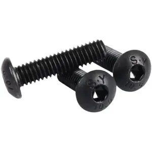 M6 Grade 10.9 High Strength Black Half Round Head Socket Head Cap Screws Ios7380 Pan Head Bolts