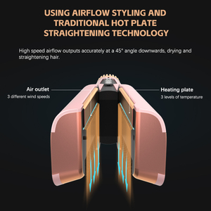 Styler multifonction 2 en 1, sèche-cheveux et lisseur, fer à lisser électrique, souffleur d'air, plancha à cheveux, flux d'air humide et sec - Product Image 2