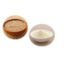 燕麦提取物有机 β-葡聚糖粉70% 80% 90% 食品营养补充剂