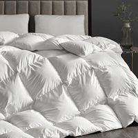 Couette en fibre de duvet d'oie Grand White Goose, taille Queen, chaleur supplémentaire, duvet d'hiver moelleux, insert de couette hypoallergénique, 75% de garnissage en plumes d'oie