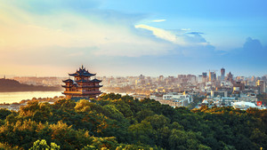 Service de réunion de visite d'usine pour Shanghai Hangzhou Business Travel New Condition Inspection Services de contrôle de la qualité - Product Image 2