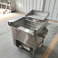 Yam Fruitborstel Wasmachine Palmdata Schoonmaken Groentereiniger Automatische Aardappelschiller