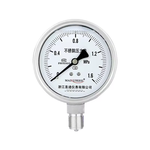 China Fornecido 1,6% Manômetro Preciso Medidor De Pressão Hidráulica Alta Precisão Manômetro De Aço Inoxidável Fosco - Product Image 1