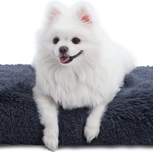 Cross-border <b>dog</b> sleeping mat, cat floor mat, all-season <b>dog</b> bed, <b>dog</b> mat, wear-resistant, waterproof, urine-proof, for <b>sofas</b> - Product Image 5