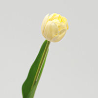 Fleurs artificielles de camélia et de tulipe à toucher réel, les plus vendues, pour la décoration de mariage, de la maison, de l'hôtel, de la table à manger, de la remise des diplômes et de Noël