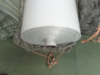 Rouleau de tissu tissé PP 65 GSM de qualité alimentaire, imperméable, écologique, avec laminage thermoscellable pour sacs de riz et sacs de farine