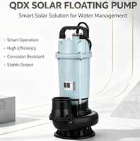 Pompe solaire flottante submersible QDX économique à grand débit, sans facture d'électricité, pour l'irrigation des villages