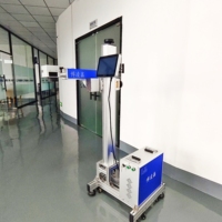 Machine de marquage laser CO2 20W mini portable, compatible DXF, style volant, écologique, pour gravure sur métal