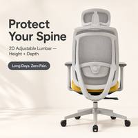 Service OEM/ODM, chaise de bureau ergonomique confortable avec support lombaire 2D, chaises de bureau en mesh pour bureau, CE ISO