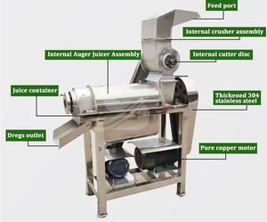 خط إنتاج عصير الفواكه الصناعي الصغير بالضغط البارد لعصر البرتقال والليمون والخضروات والمانجو - Product Image 3