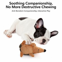 Jouet pour chien hérisson en peluche mignon, couineur, lavable, doux, pour nettoyage des dents des chiots, vente en gros, stock disponible, OEM personnalisé