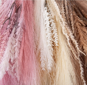 55cm/2ft Lifelike Faux Bulrush <b>Flowers</b> <b>Artificial</b> Factory Wholesale <b>Artificial</b> <b>Flowers</b> Real Touch Bulrush For Decor - Product Image 5