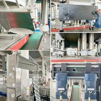 Ligne de production de remplissage de sirop d'écrou de divers formats pour boissons textiles chimiques moteur essentiel engrenage PLC verre de roulement