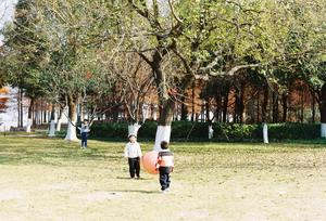 Film couleur 35 mm 36 expositions CN400 ProMax, négatif couleur ISO <span class=keywords><strong>400</strong></span>, procédé C41, rouleau de film 135 - Product Image 6