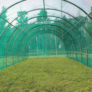 Tienda de jardín Polytunnel Orangery al por mayor fácil DIY Hobby Casa de flores invernadero marco metálico madera tratada a presión tipo natural - Product Image 6