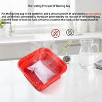 Nouveau Chauffe-Plat Portable Sans Flamme 60g 2026 – Haute Température pour Repas de 300g – Facile à Transporter pour Aliments Instantanés