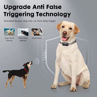 Intelligenter Lern-Schälkragen magnetische Aufladung elektronischer E-Shock-Vibrationsschall Hundeschälkragen vier Arbeitsmodi