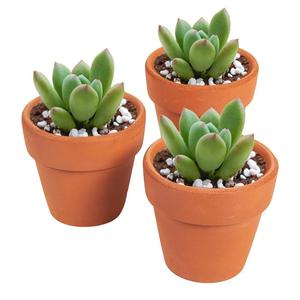 <span class=keywords><strong>Pot</strong></span> <span class=keywords><strong>de</strong></span> fleurs en <span class=keywords><strong>terre</strong></span> cuite d'origine, <span class=keywords><strong>pot</strong></span> en céramique en argile pour la décoration <span class=keywords><strong>de</strong></span> la maison et du jardin - Product Image 2