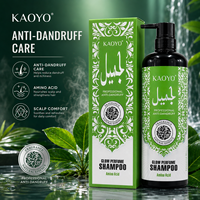 Shampooing Parfumé Anti-Pelliculaire aux Acides Aminés et à l'Huile d'Argan pour Soin du Cuir Chevelu, Contrôle du Sébum, Marque Privée, Vente en Gros, Usine