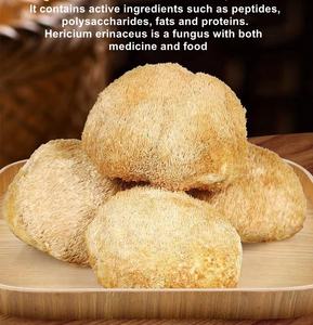 Champignon Hericium Erinaceus séché entier en vrac, Champignon Crinière de <span class=keywords><strong>Lion</strong></span>, Champignon à poils barbus, Naturel et Biologique - Product Image 5