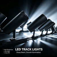Projecteur LED sur rail orientable avec puissance et température de couleur réglables, CRI90, en aluminium, pour magasins commerciaux et points de vente